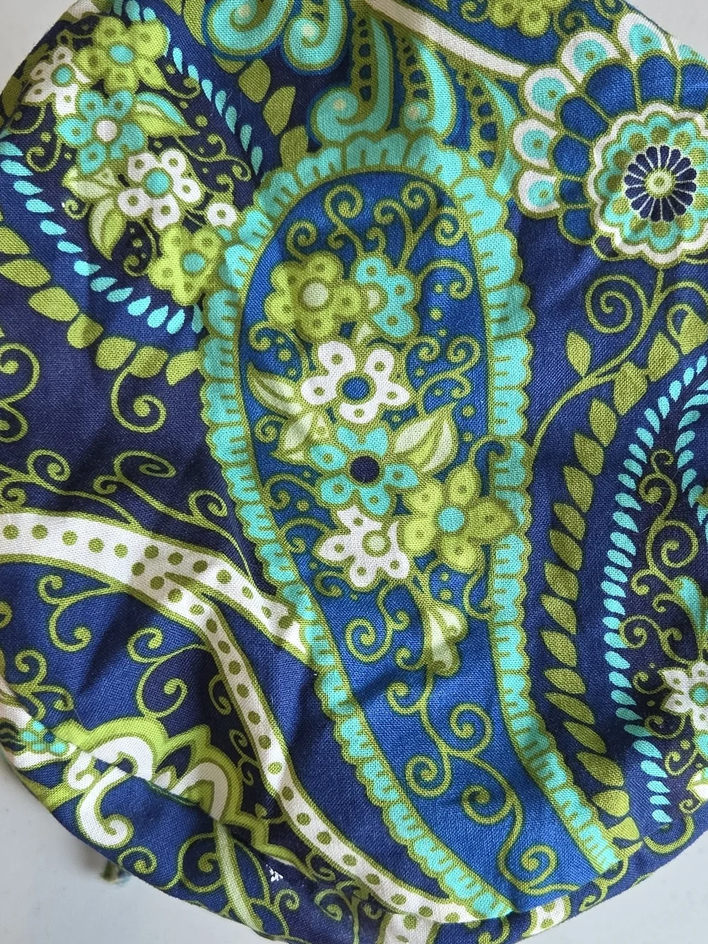 Vera Bradley Navy Green Paisley Drawstring Lined Cosmetic Pouch Swimsuit Tote